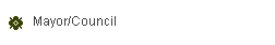 Mayor/Council